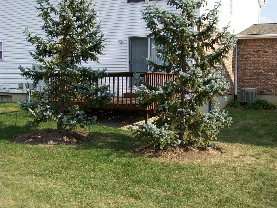 2nd image of 473 Georgetown Dr