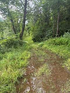 5th image of 0 State Highway 1534
