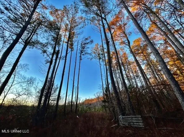 Scales Tower Road And Hwy #4, Holly Springs, MS 38635