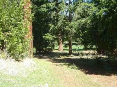 26441 Golf Links Dr, PIONEER, CA, 95666