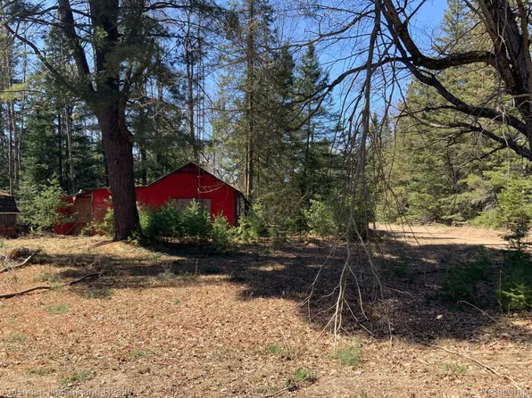 1908 E Andrews Rd, Mikado, MI 48745