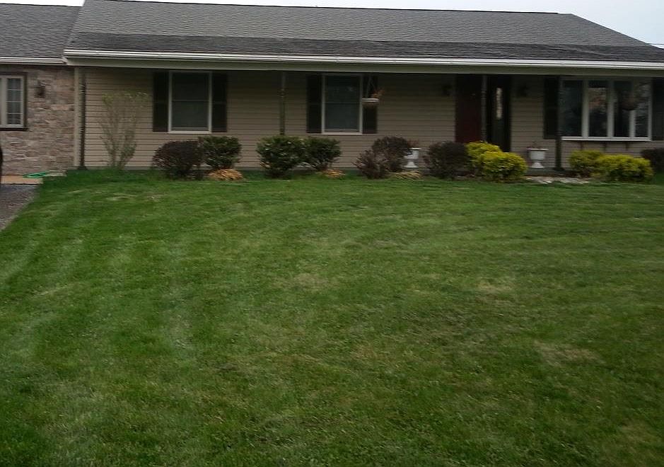 Front Yard