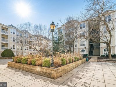 4561 Strutfield Ln APT 3403, Alexandria, VA, 22311
