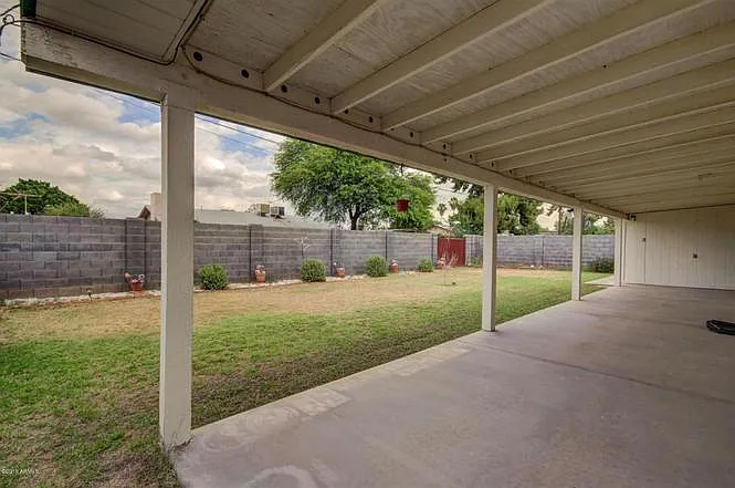 Backyard