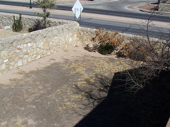 4th image of 11675 Helen Wynn Ct