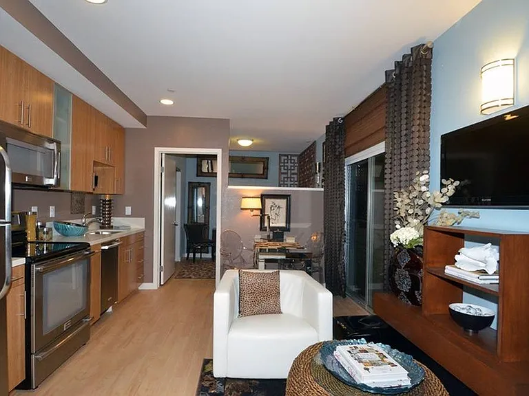 819 Broadway 210 Living Kitchen 1