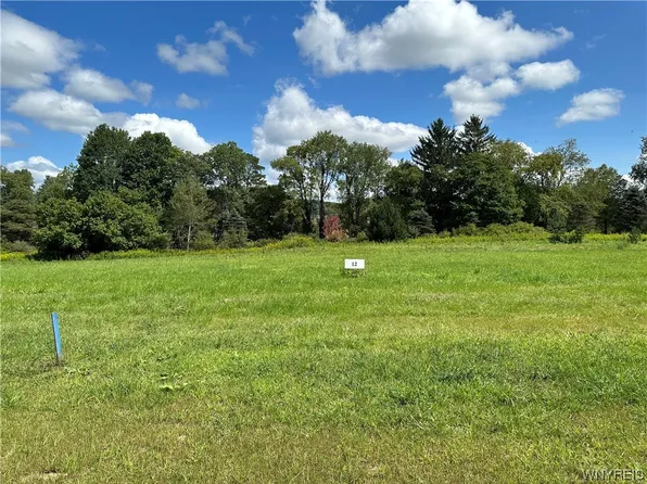 12 Tanglewood Development Lot Allegany Ky, Allegany, NY 14706