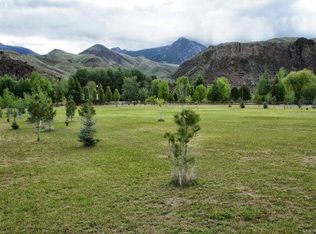 Bluebird Cir #C, Salmon, ID 83467