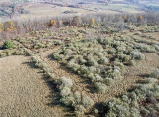 Williams Rd LOT 2, Addison, NY 14801