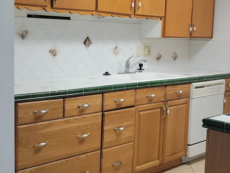 Kitchen sink, cabinets and dishwasher