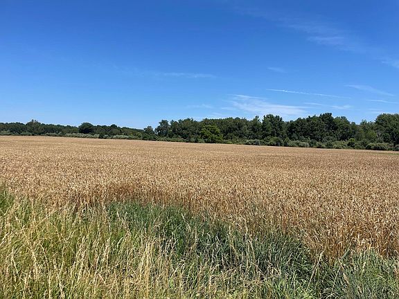 3rd image of W Freesoil Rd