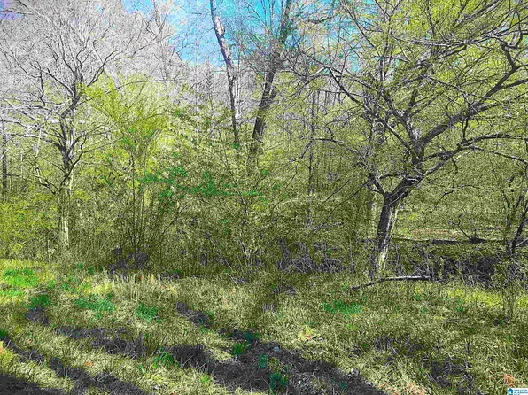 0 Fox Run Lot 13, Oneonta, AL 35121