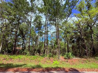 15 Bay Ct LOT 15, Ocklawaha, FL 32179