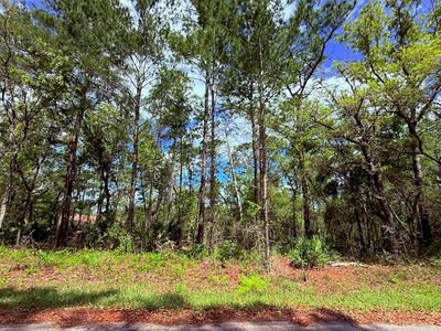 Lot 15 BAY COURT LOT 15, Ocklawaha, FL, 32179