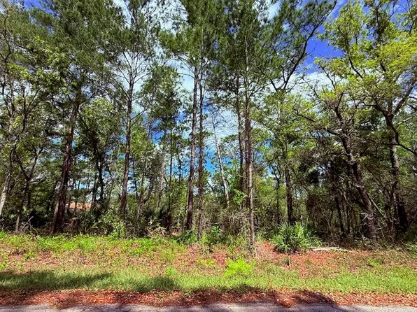 15 Bay Ct Lot 15, Ocklawaha, FL 32179