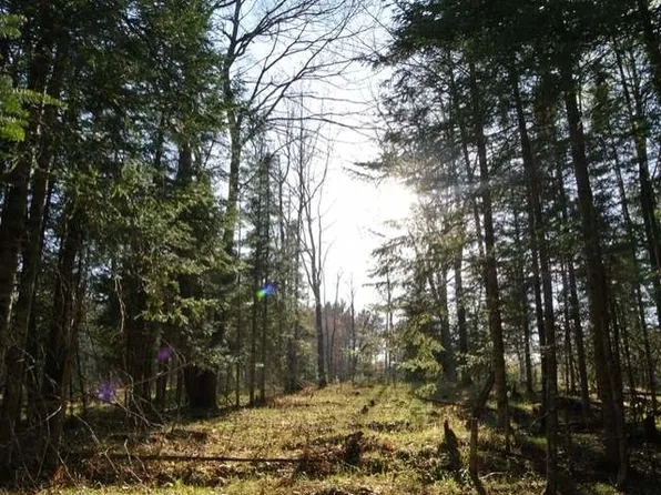 8313 Driftwood Pl, Minocqua, WI 54548