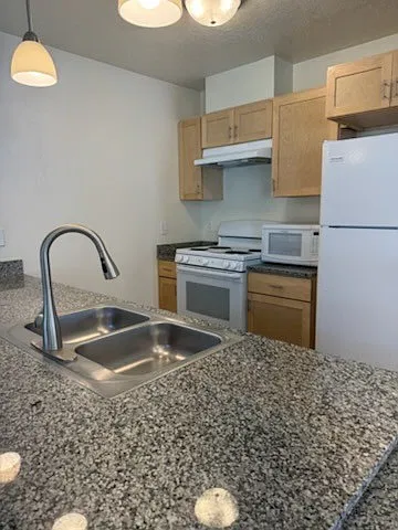 1 bed, 700 sqft, $1,100 — Photo 2