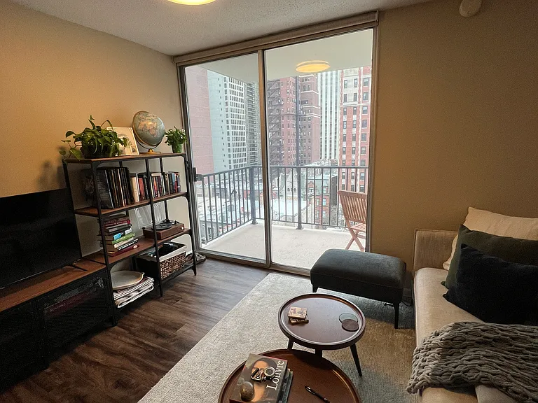 71 E Division St #1005 — Photo 17