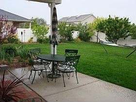 Back yard