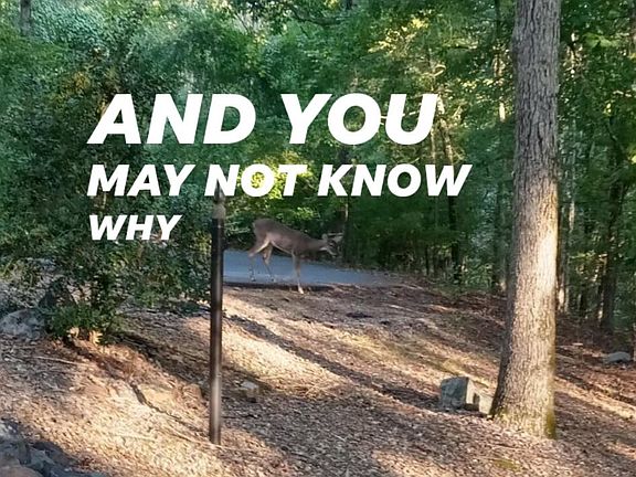 Great place to be your home