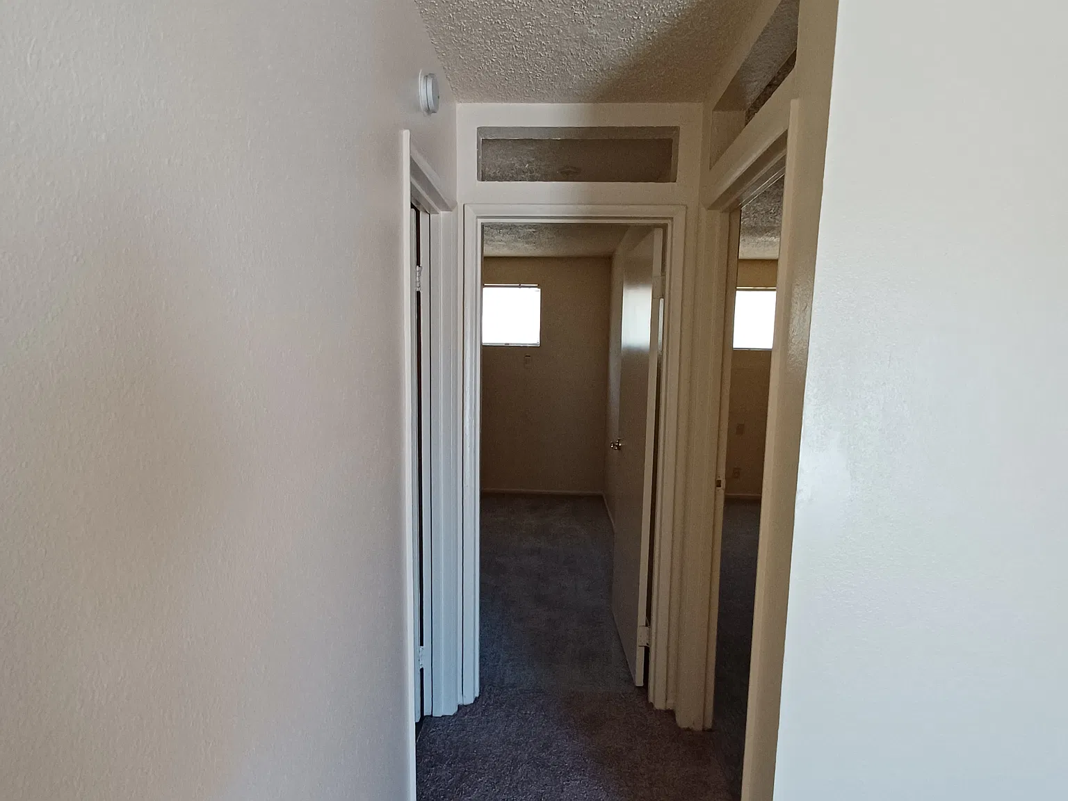 2 bed, 600 sqft, $975 — Photo 3
