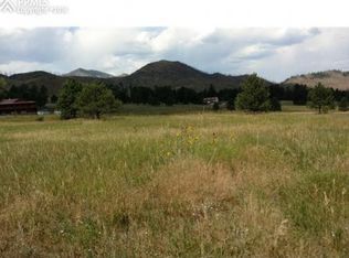 13659 Lisa Ln, Woodland Park, CO 80863