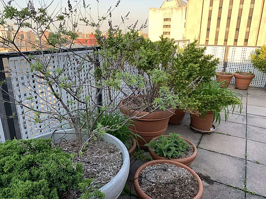 Rented by Highline Residential | media 9