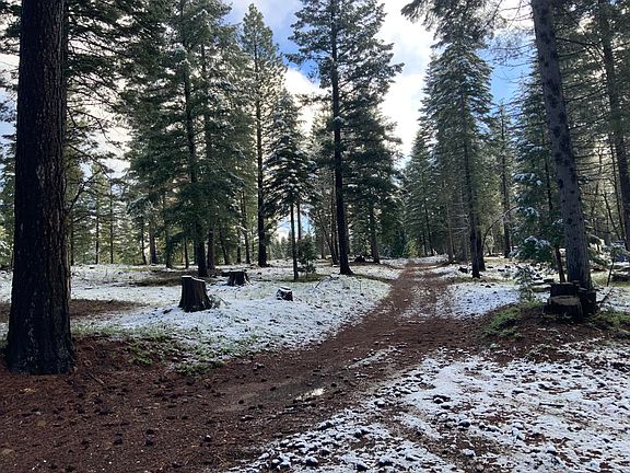 4th image of 0 McCumber Lake Rd