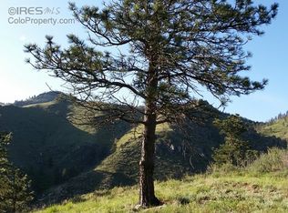 259 Unger Mountain Rd, Bellvue, CO 80512