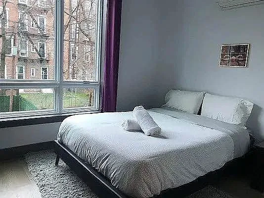 Rented by Rentopia | media 12