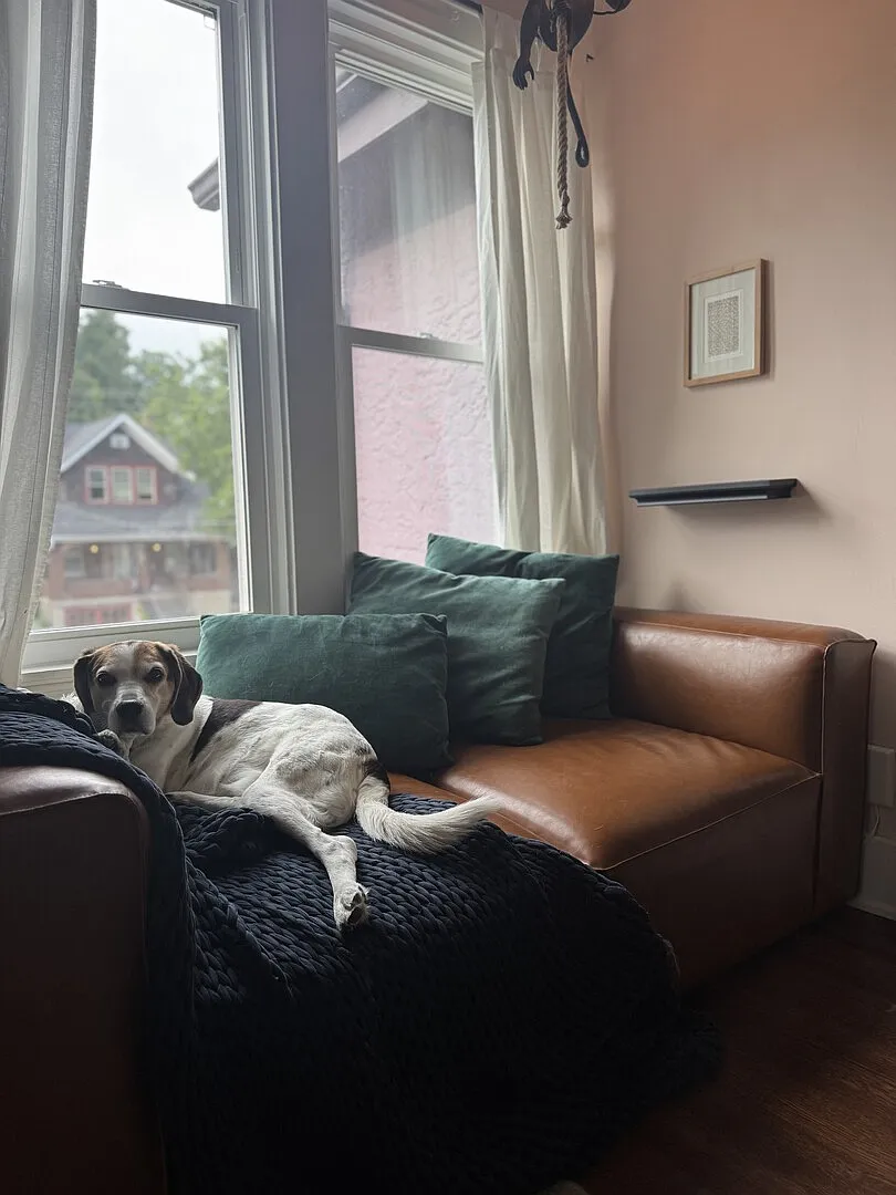 Peaceful Artsy City Home and Garden — Photo 4