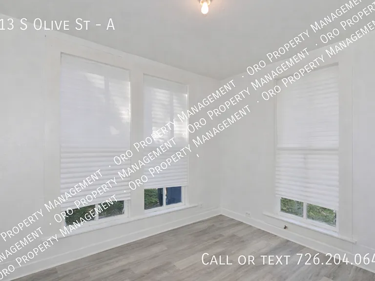 113 S Olive St #A — Photo 8
