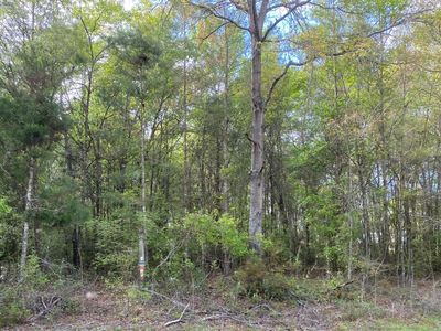 0 NW County Road 143, Jennings, FL, 32053
