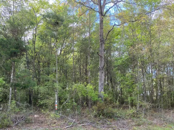 0 NW County Road 143, Jennings, FL 32053