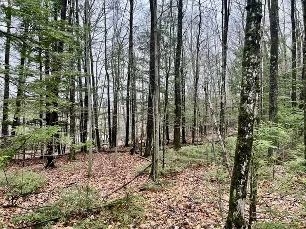 Creek Rd #3, Wausaukee, WI 54177