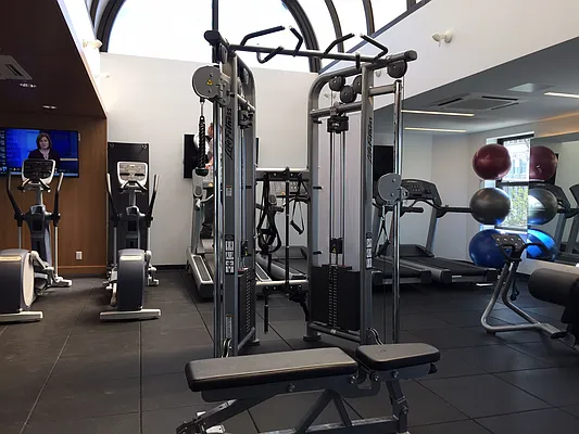 Rented by 280 Park Avenue South Realty | media 21