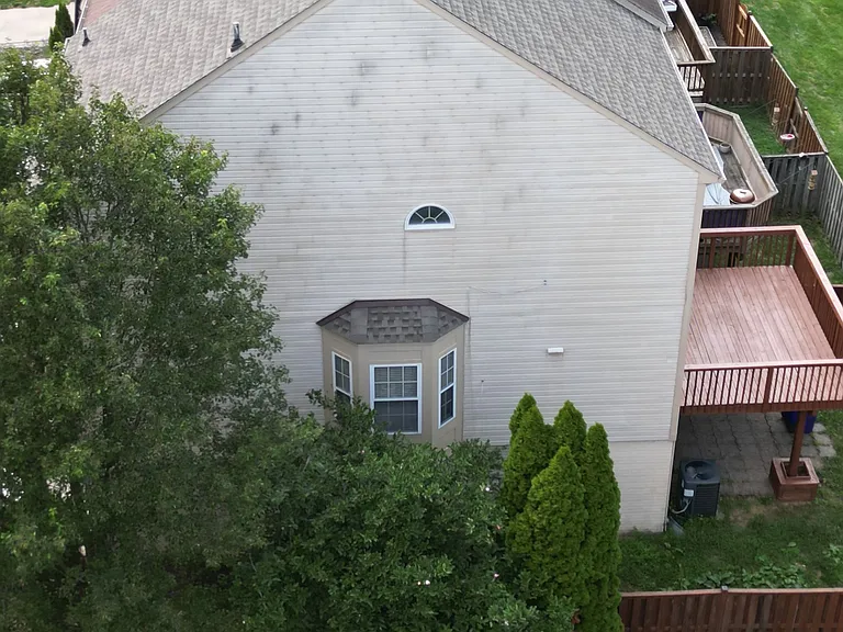 Side of the house