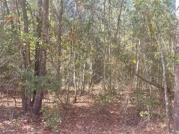 0 County Road 37, Billingsley, AL 36006
