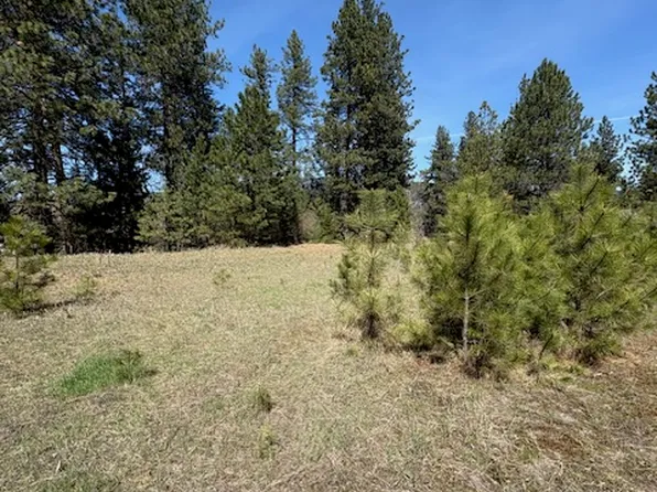 4 River Run Loop Rd, Saint Regis, MT 59866