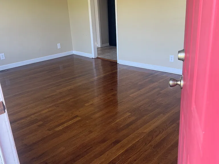 2824 Carrollwood Heights Rd — Photo 13