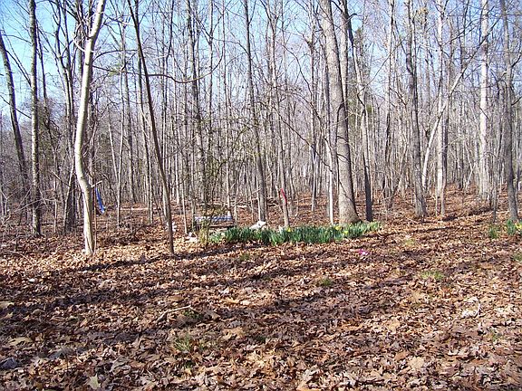 5.2 acres of heavily wooded land mostly hardwoods.