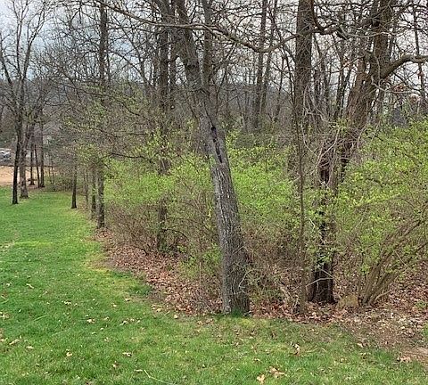 4th image of 1258 N Summersby Dr Lot 44