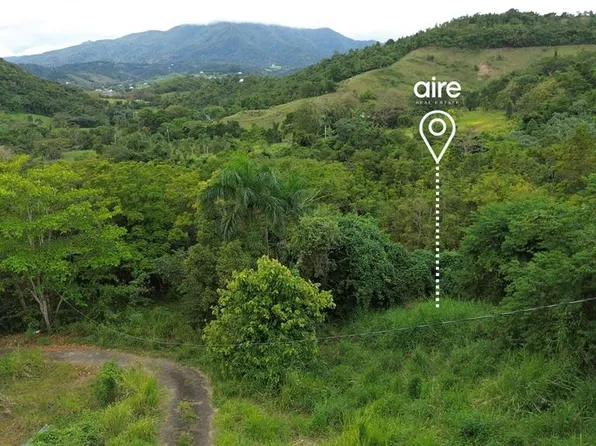 7 Km Pr #61-3, Ceiba, PR 00735