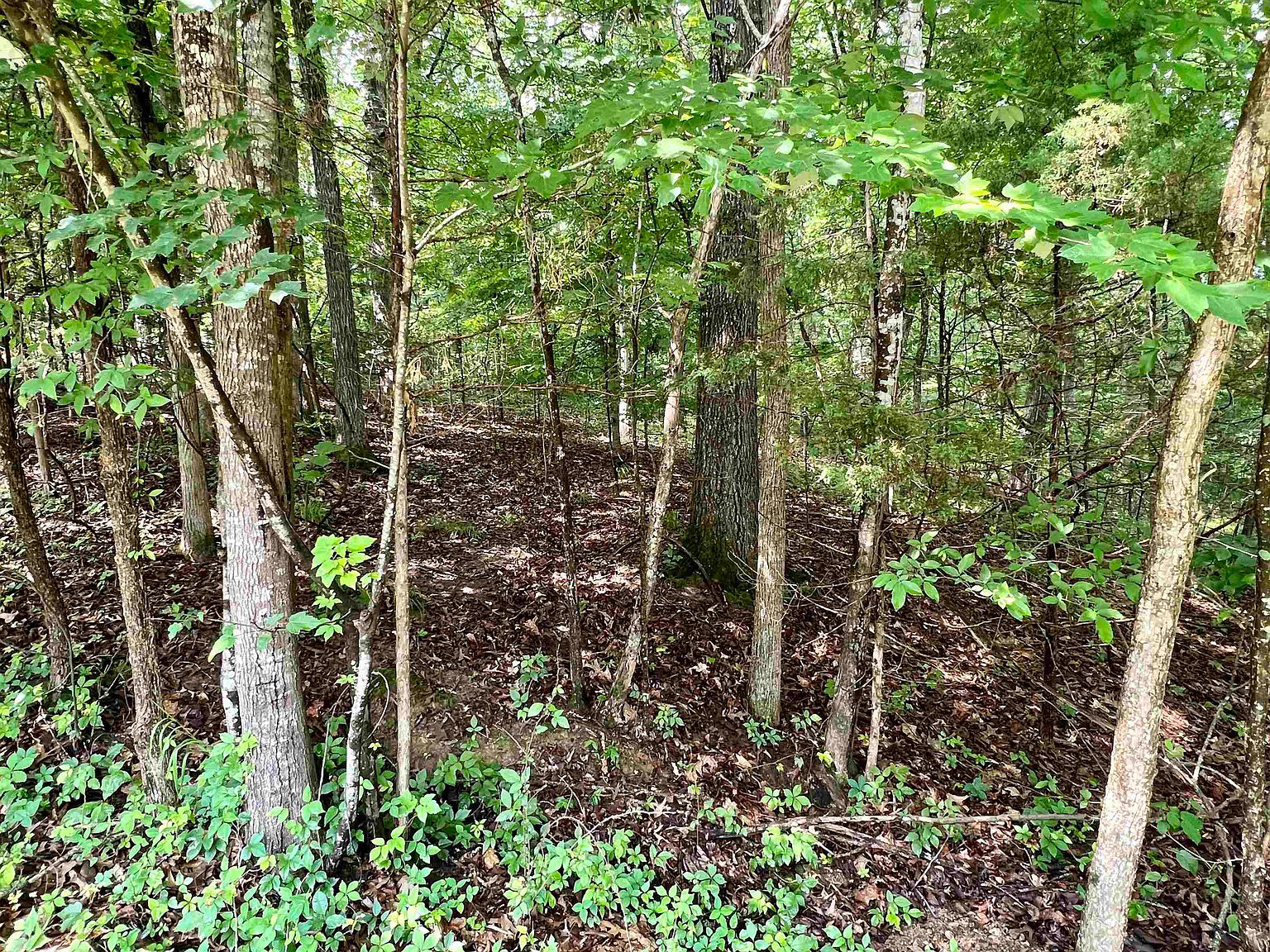 114 Woodrun Dr, Middleton, TN 38052 MLS 10175253 Zillow
