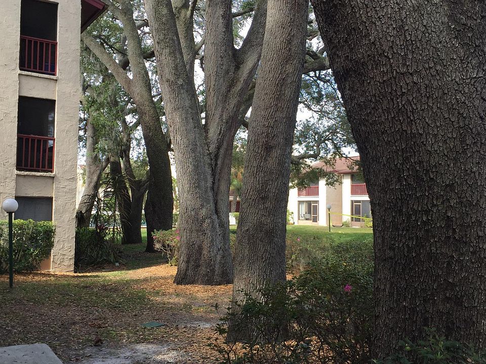 Beautiful mature property with grandeur Oaks and Palms throughout property