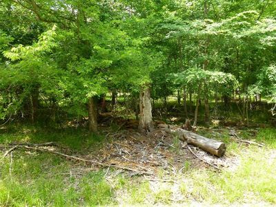 73 S Royale Greens Dr, Coldspring, TX, 77331
