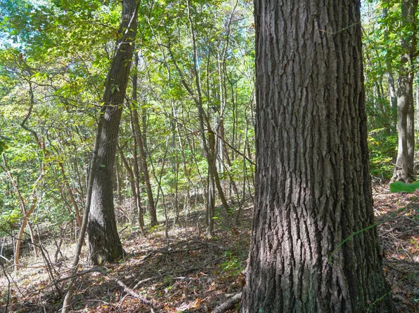 Township Road 660, Dawson, PA 15428