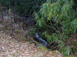 0 E Deweese Rd, Topton, NC 28781