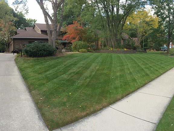 Ravine Lot on Hickory Creek