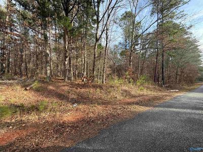 250/ACRE S County Road 793, Centre, AL, 35960